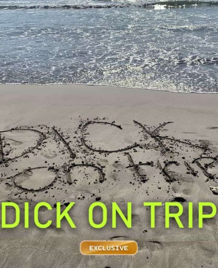 Dick en voyage